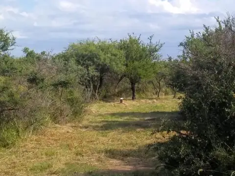 1.5 Hectáreas en Los Molles SL
