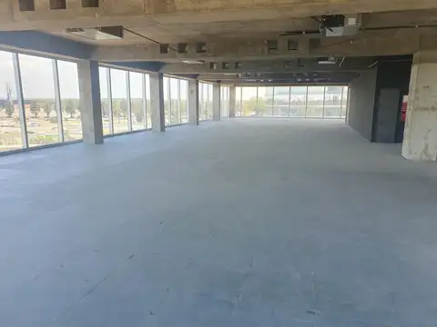 Oficina en Alquiler A Estrenar