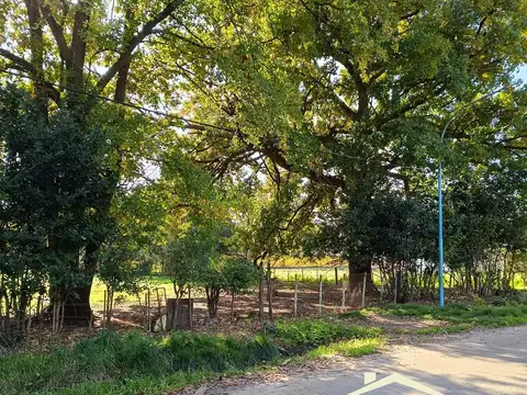 Hipólito Yrigoyen al 700