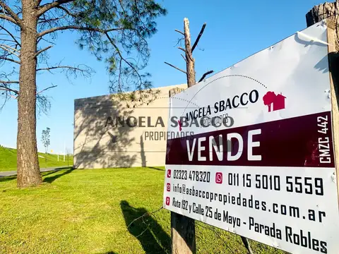 Colectora Sur, Parada Robles.