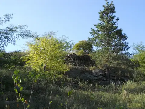 TERRENO IDEAL PARA INVERSIÓN EN UN ENTORNO NATURAL Y CON HERMOSAS VISTAS.