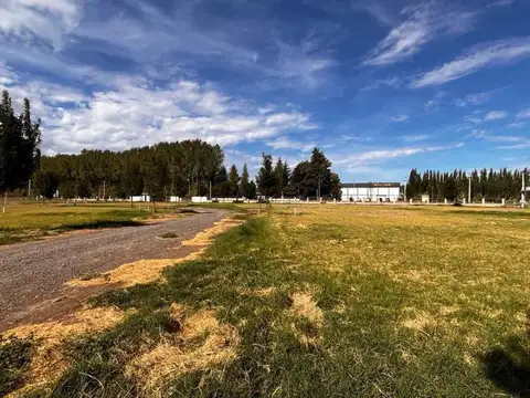 Terreno en Venta en Villa Regina, USD 53.000