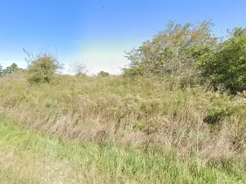 Terreno en venta - 331Mts2 - Ignacio Correas Arana