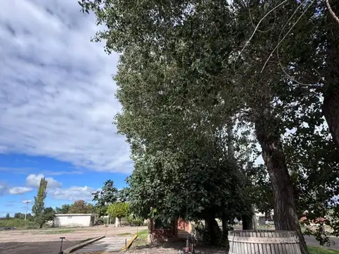 Bodega en venta Junín,Mendoza en funcionamiento