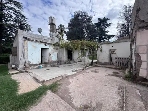 CALLE OLIVARES S/N 100