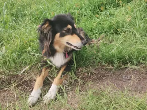 Terreno - Venta - Argentina, Veinticinco de Mayo
