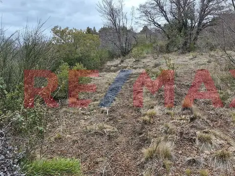 Fracción XXVI ubicada en provincia del Neuquén, Departamento Lacar