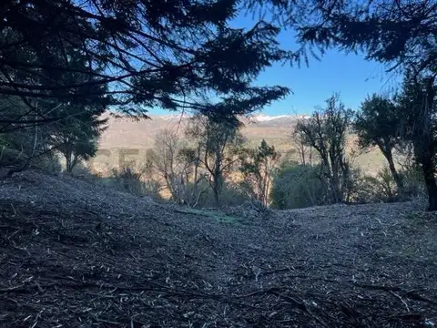 Terreno en Venta de 1000,0 m2