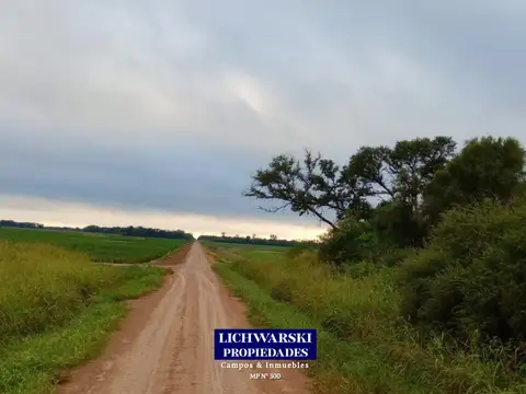Campo en Venta de 100  ha
