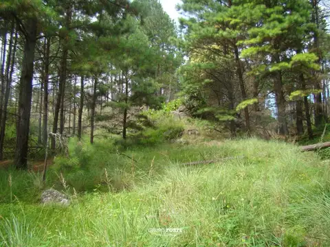 Lote en venta- Santa Rosa de Calamuchita