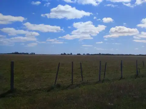 HECTAREAS EN VENTA EN PUNTA INDIO