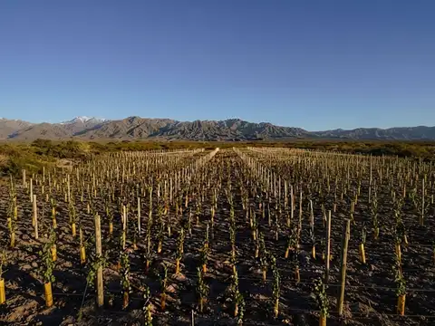 Terreno en Venta de 1000,0 m2