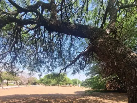 Terreno en Venta en Santiago del Estero, USD 35.000