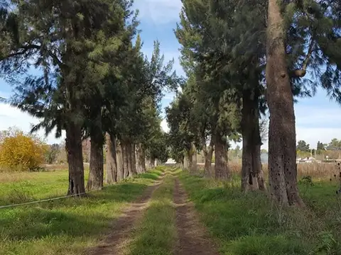 Terreno en Venta de 450,0 m2