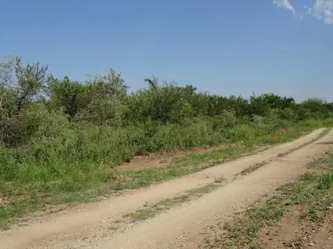 Los Aromos S/n