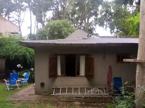 Pilagas y Mangore 100