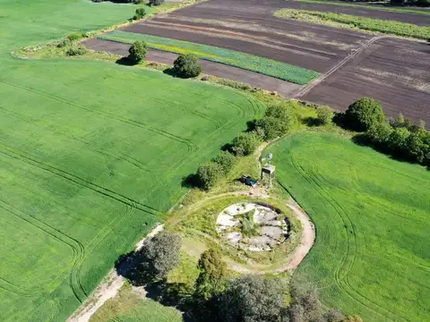 Venta de campo de 75 hectáreas - Ruta 88 Km 14,5 - Mar del Plata