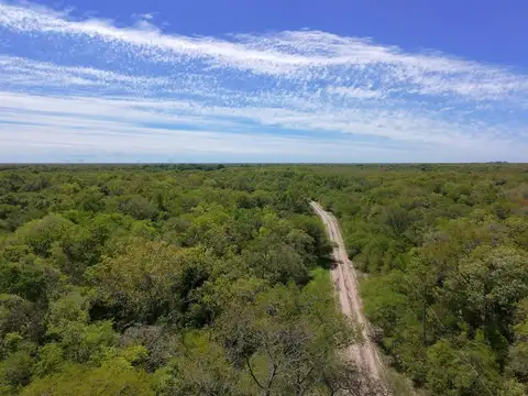 Campo en Venta de 51 Hectareas - a 40 km de Resistencia