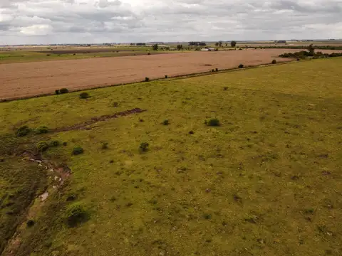 Campo en Venta de 230  ha