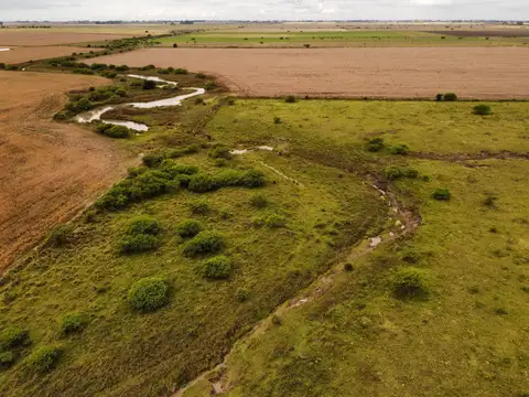 Campo en Venta Ganadero