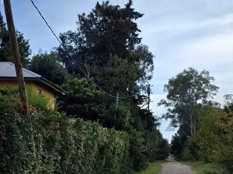 696 bis