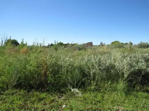 Terreno en Venta de 250,0 m2