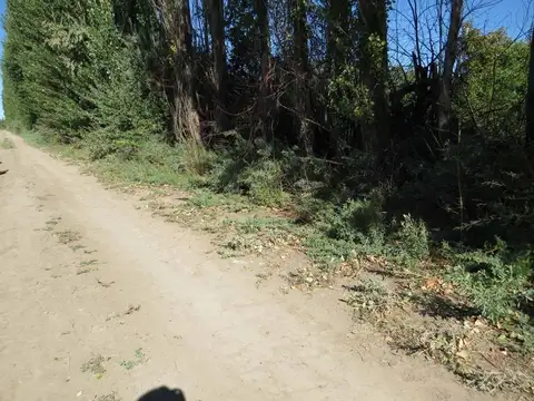 Terreno en Venta en Cervantes, USD 5.000