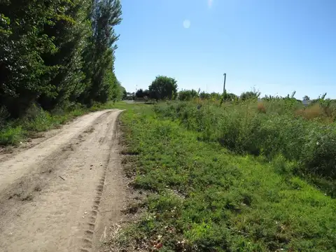 Terreno en Venta de 250,0 m2