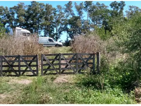 Campo en Venta Agrícola