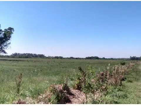 Campo en Venta de 50  ha