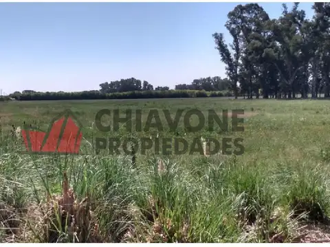 Campo en Venta de 50  ha