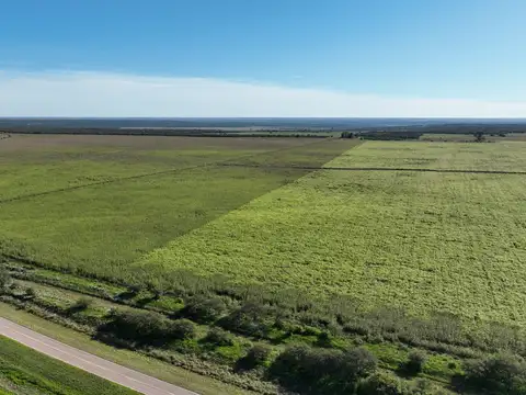 Campo en Venta con Alambrado