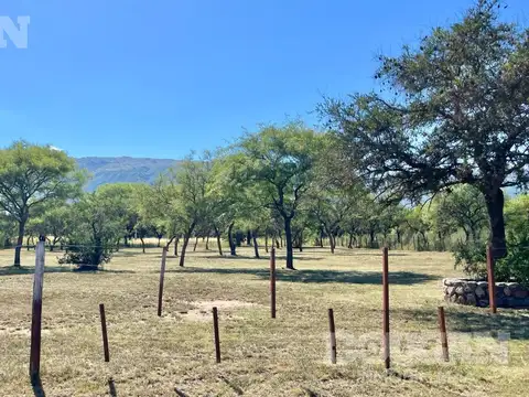 Terreno en Venta 20  mts Frente