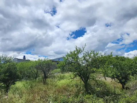 Terreno en Venta en San Lorenzo, USD 16.000