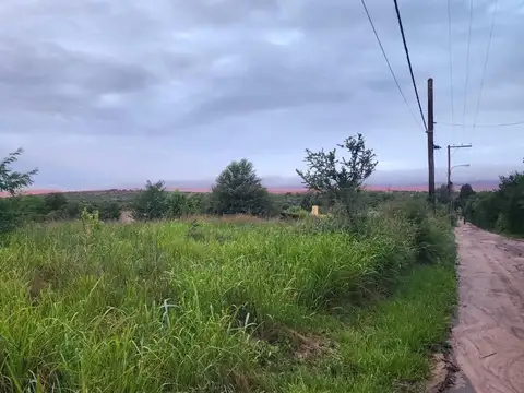 La Calandría