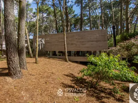 albatros e/ J. Hernandez y M. Guerrero 100