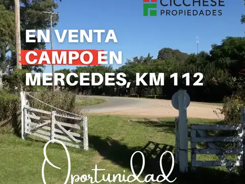 HERMOSA CHACRA DE 4 HA   