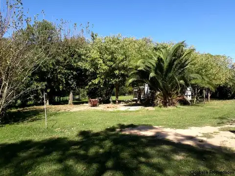 HERMOSA CHACRA DE 4 HA   