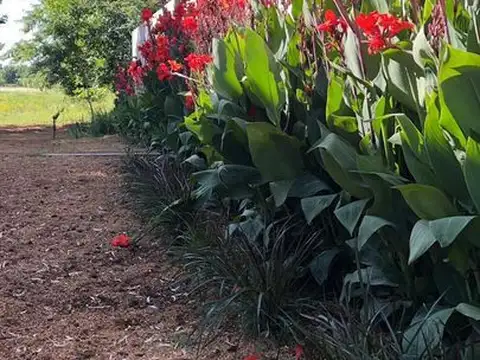 Departamento en Venta al Sureste