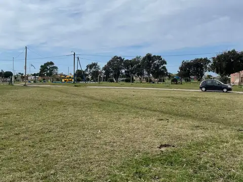 Las Palomas y las Garzas