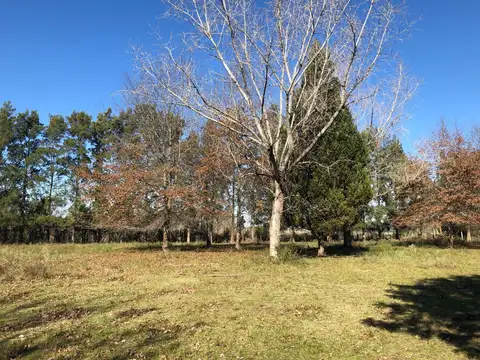 Terreno en Venta de 1200,0 m2