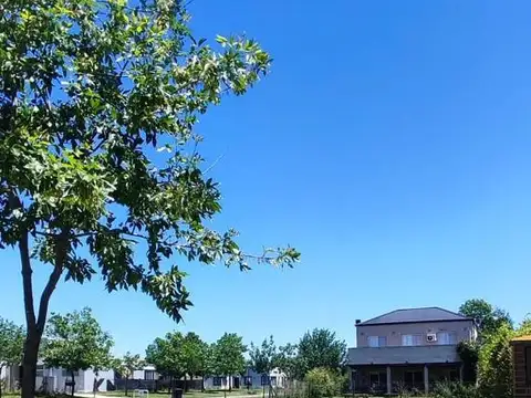 Terreno en venta en San Alfonso, Pilar Del Este