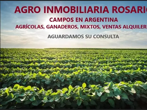 CAMPOS OFF MARKET EN ARG. AGRIC Y GANAD