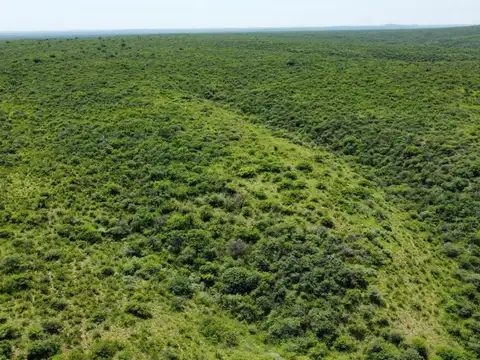 Venta de Campo,8400 HAS SANTIAGO DEL ESTERO