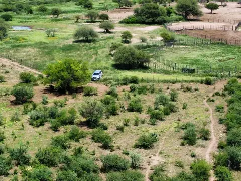 Venta de Campo,8400 HAS SANTIAGO DEL ESTERO