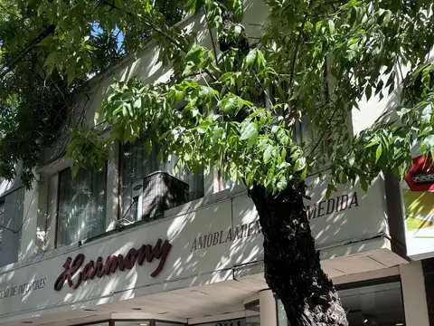 Av Belgrano al 2100