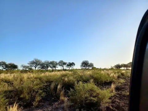 Campo De 14 Has A 7km De Santa Rosa Del Conlara