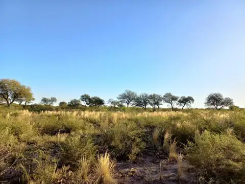 Campo de 14has en venta a 7km de Santa Rosa del Conlara