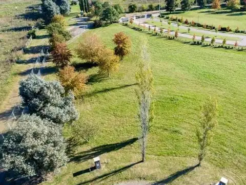 Mirabosques Cardales