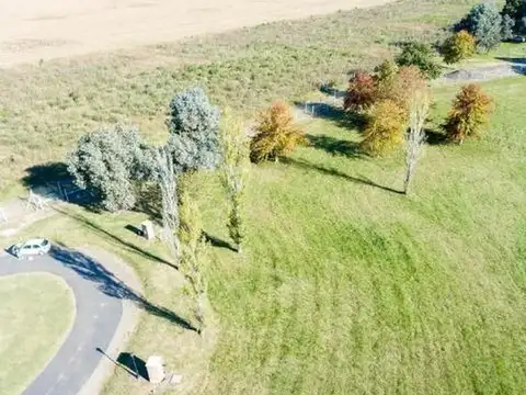 Terreno en Venta de 1010,0 m2